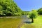 Beautiful summer landscape with river, forest, sun and blue skies. Natural colorful background. Jihlava River, Czech Republic -