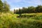 Beautiful summer landscape with small tranquil river