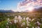 Beautiful summer landscape, sunset over the mountains and flowering valley, Iceland countryside