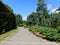 beautiful summer landscape tall trees and a picturesque path