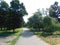 beautiful summer landscape tall trees and a picturesque path