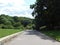 beautiful summer landscape tall trees and a picturesque path