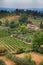 Beautiful summer landscape in Tuscany, Italy