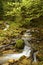 Beautiful Summer landscape whit forest and waterfall. Summer forest photography