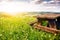 Beautiful summer landscape with wooden picnic place