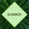 Beautiful summer mock up. Floral template with sago palm foliage. Bright green exotic palm leaves and space for your text rhombus