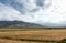 Beautiful summer mountain landscape. Wheat fields and mountains. Kyrgyzstan. Natural background