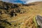 Beautiful Summer Mountain Road. Killarney national park