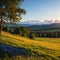 Beautiful summer panorama landscape with nature. Meadow with forest and blue sky on a sunny day. Highlands - Czech