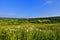 Beautiful summer panorama of Siberian rural landscape