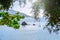 Beautiful summer panoramic seascape. View of the the sea bay with crystal clear azure water. The branches of the old olive tree in