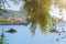 Beautiful summer panoramic seascape. View of the the sea bay with crystal clear azure water. The branches of the old olive tree in