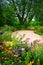 Beautiful summer park with blooming flowers, trees and footpath. .Summer garden of colorful flowers
