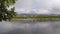 Beautiful summer pond in light sunshine overview video panning to the right