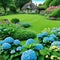 Beautiful summer private garden with many flowers and nature english countryside cottage style