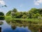 Beautiful summer reflective pond.