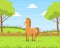 Beautiful Summer Rural Landscape with Green Field and Grazing Horse Barn Cartoon Vector Illustration