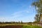 Beautiful summer rural landscape with old barn