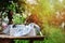 Beautiful summer scene with bouquet of chamomile flowers, rustic wooden tray and tablecloth