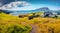 Beautiful summer scenery. Adorable morning view of typical turf-top houses