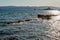 Beautiful summer seascape with ferry in Orebic, Peljesac peninsula, Dalmatia, Croatia