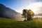 Beautiful summer sunrise scene in the mountains with spectacular sky and fog. Mystical landscape. Location place Alps, Europe