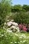 A beautiful summer walled garden border flowerbed