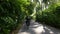 Beautiful summertime mood shot of young woman or girl riding bicycle through beach promenade, in stylish outift