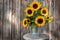 Beautiful sunflower bunch in front of a wooden wall with lots of space for text copy-space.