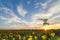 Beautiful sunflower field on a sunset with hang glider motor trike passing by on high speed