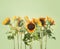 Beautiful sunflowers with stems and leaves standing at pale green background. Seasonal summer flowers. Front view