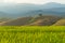 Beautiful sunlight at Chiang Mai rice terrace, Thailand