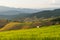 Beautiful sunlight at Chiang Mai rice terrace, Thailand