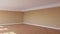 Beautiful Sunlit Corner of the Room with Beige Walls, a White Ceiling and Cornice