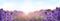 Beautiful sunlit lavender field. Banner design