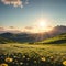 Beautiful sunny camomile meadow in mountain. Nature landscape composition. made with Generative AI