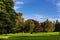 Beautiful sunny glade in the middle of a mature park