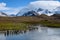 Beautiful sunny landscape with large King Penguin colony, penguins standing in river leading back to snowy mountains, St. Andrews