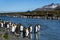 Beautiful sunny landscape with large King Penguin colony, penguins standing in river leading back towards the ocean, St. Andrews B