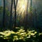 Beautiful sunny morning in magic forest. Forest in the morning in a fog in the sun, trees in a haze of light, glowing fog among