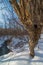 Beautiful sunny snowy winter day on hiking path off a small creek near Les Voight State Fish Hatchery Visitor Center, Bayfield - W