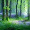 Beautiful sunny summer morning in magic forest. Forest in the morning in the sun, trees in a haze of light, glowing fog among the