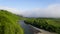 Beautiful sunny valley landscape with wide mountain creek between the green trees with clear blue sky