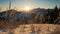 Beautiful sunny view with dry grass in foreground at Sunrise in winter alps mountains snowy nature 4K