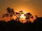 Beautiful sunrise in Aukstumalos swamp, Lithuania