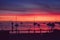 Beautiful sunrise on the beach on Catalina Island