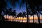 Beautiful Sunrise on Coconut Tree Lined Beach, Panglao