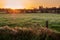 Beautiful sunrise in a country side. Simple rural area with green meadow and wooden fence for cattle. Sun glow in the background.