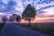 Beautiful sunrise in the flowering valley, scenic landscape with asphalt road and color cloudy sky