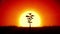 Beautiful Sunrise and Growing Tree. Achievement and Progress Concept 3d animation. Rising Sun Gives New Life. HD 1080